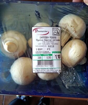 Champiñones