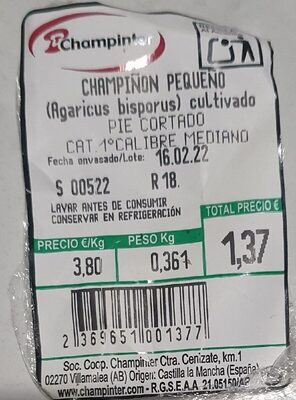Champiñon pequeño