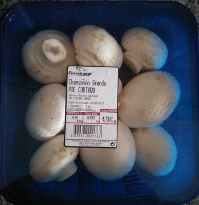 Champiñón grande pie cortado