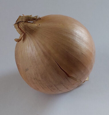Cebula żółta, onion front packaging