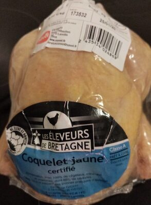Coquelet jaune