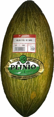 Melón Variedad Piel de sapo