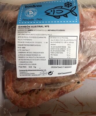 Gambón austral nº3