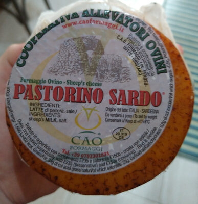 Pastorino sardo