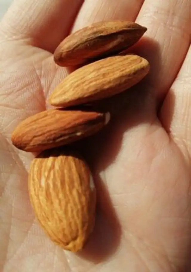 Amandes décortiquées