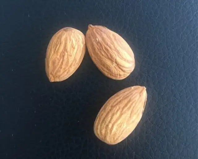 Amandes decortiquées