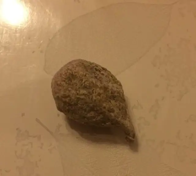 Pruneau sec