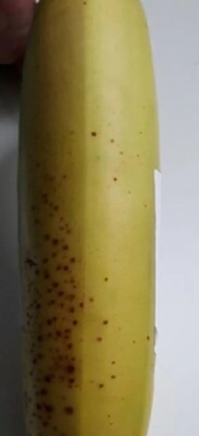 JS Fairtrade Bananas Loose