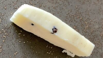 Pecorino pepato ambrosi