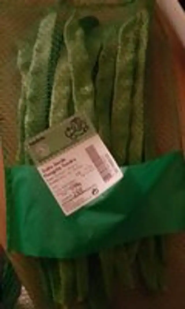 Judía verde