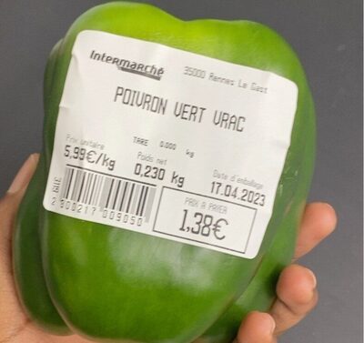 Poivron vert vrac
