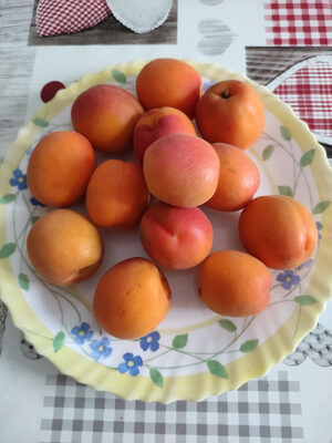 Abricots