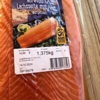 Lachs FISCH