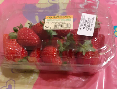 Fruttital Fragole Vaschetta GR