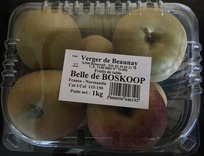 Pomme Belle de Boskoop