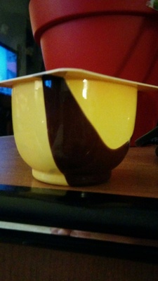 Danette Vanilla flavor on chocolate bed