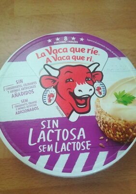 Porciones de queso para untar front packaging