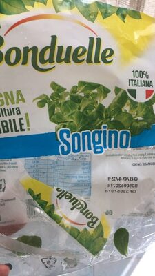 Songino front packaging