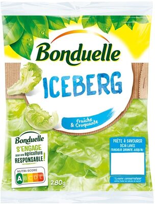 Iceberg front packaging
