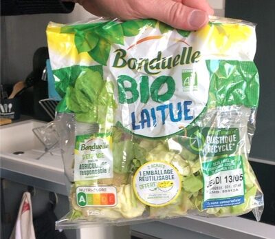 Salade bio laitue