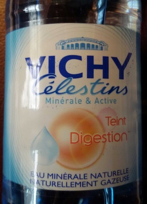 VICHY CELESTINS Eau Minérale Naturelle Gazeuse 0.50 L