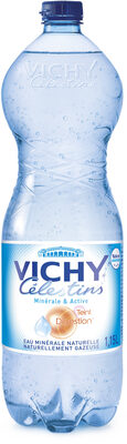 Vichy Celestins