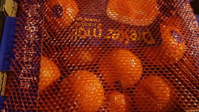 Oranges maltaises front packaging