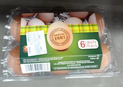 Oeufs de Guyane