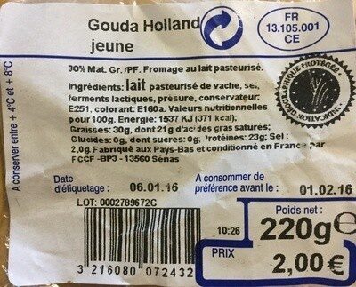 Gouda Holland jeune