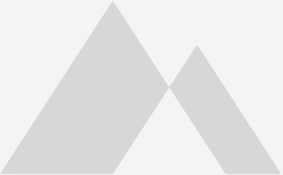 President Cheese Cheddar