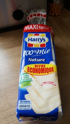 American Sandwich Nature