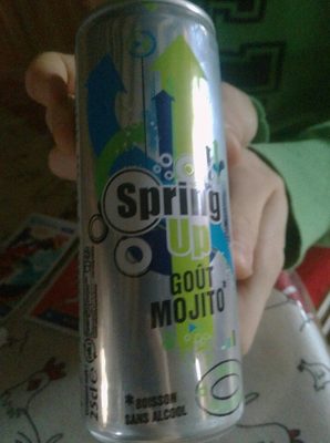 Spring Up goût Mojito front packaging