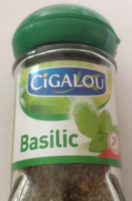 Basilic