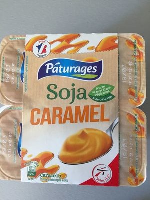 Specialite soja caramel 4x100g