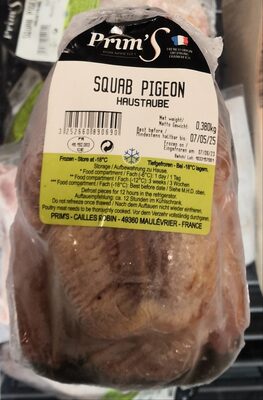 Squab Pigeon