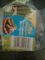 Asperges vertes miniatures