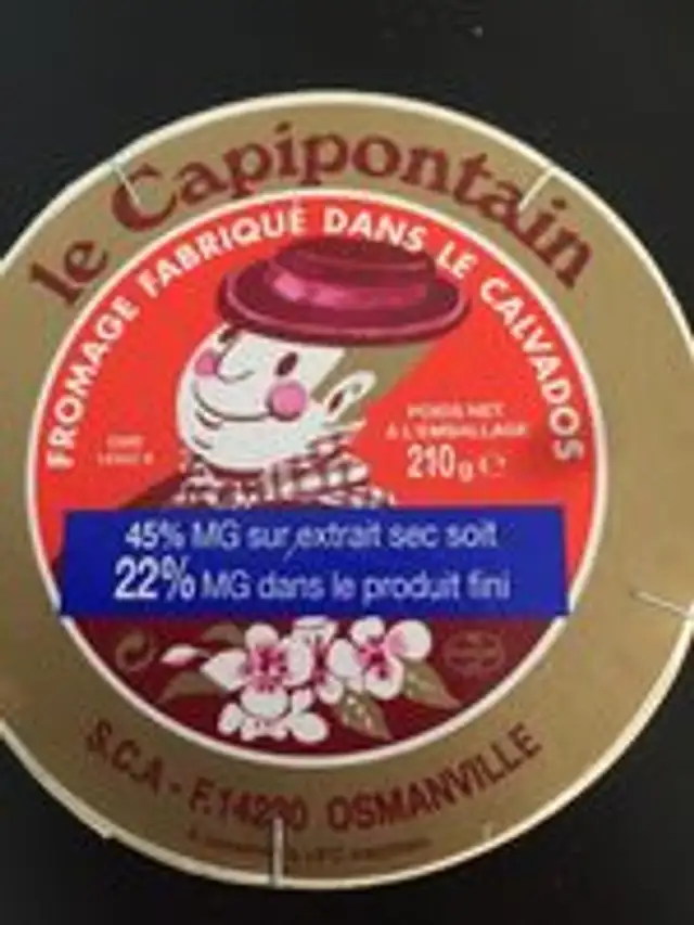 Le Capipontain