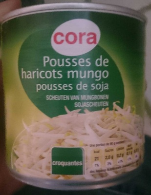 Pousses de haricots mungo pousses de soja