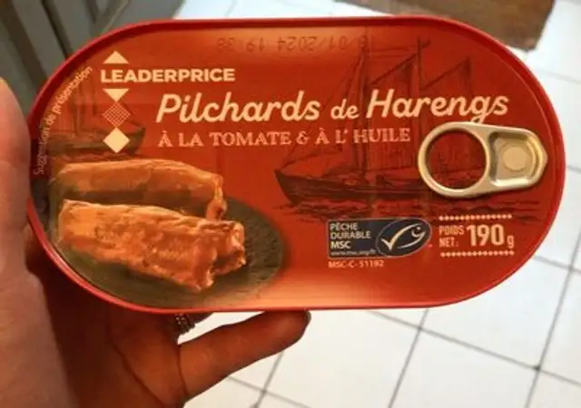 Pilchards de harengs à la tomate et à l'huile front packaging