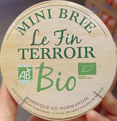 Mini brie