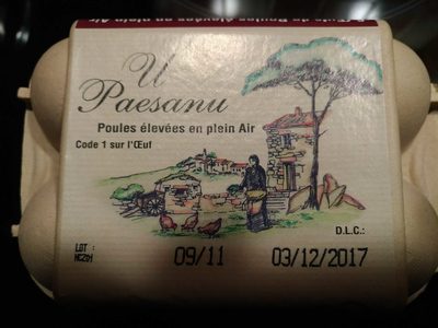 Oeufs plein air extra Corsoeuf X6