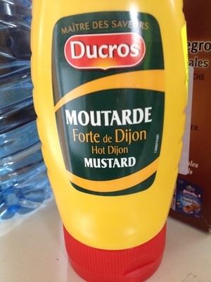 Moutarde forte de Dijon