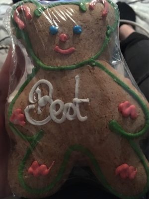 Ourson en pain d'épice