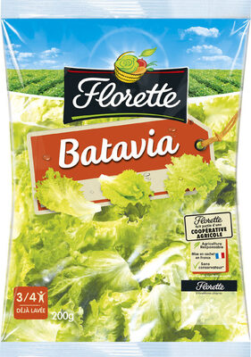 Florette Batavia 200g