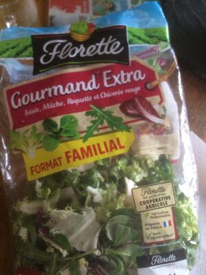 Frisee/radicchio/jeunes pousses sauvage redchard/mache