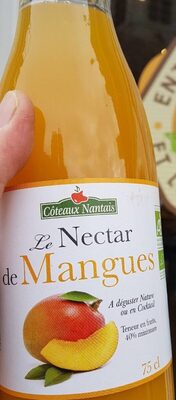 Nectar de mangues