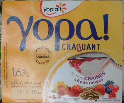 Yopa! Craquant sur lit de graines & fruits rouges (1,6% MG)