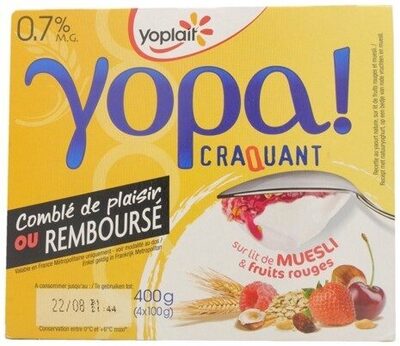 Yopa! craquant muesli & fruits rouges