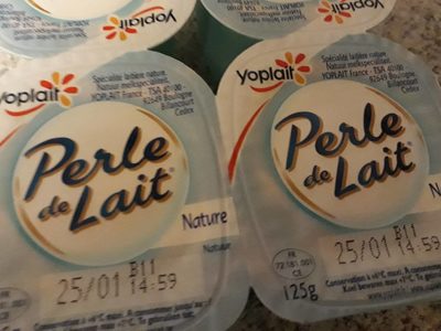 Spécialité laitière nature