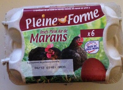 Oeuf Plein Air de Marans